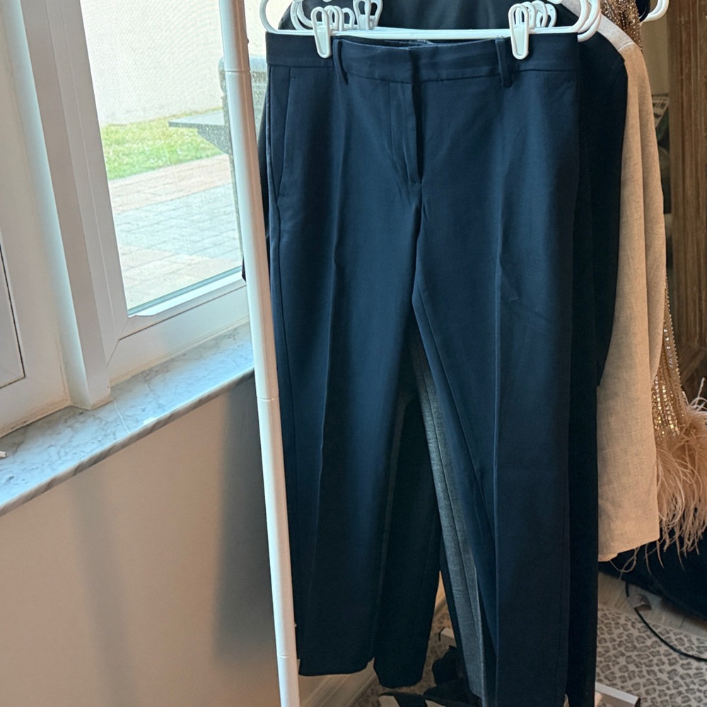 Ann Taylor Navy Ankle Pants